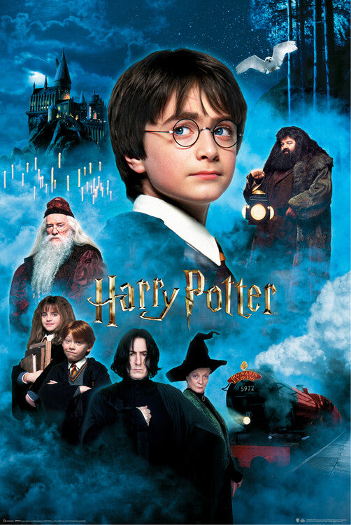 Harry Potter - Der Stein der Weisen Poster, Plakat, 61 × 91.5 cm