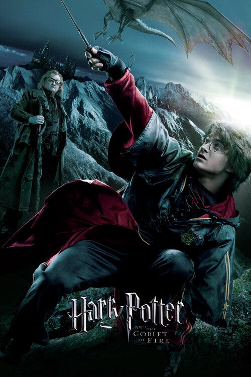 Harry Potter - Der Feuerkelch - Harry Poster, Plakat, 26.7 × 40 cm