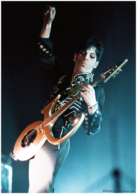 Prince - Live shot, N.E.C. Birmingham 2005 Poster, Plakat, 59.4 × 84.1 cm