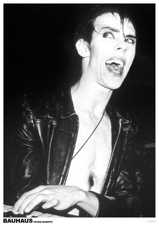 Peter Murphy of Bauhaus Poster, Plakat, 59.4 × 84.1 cm