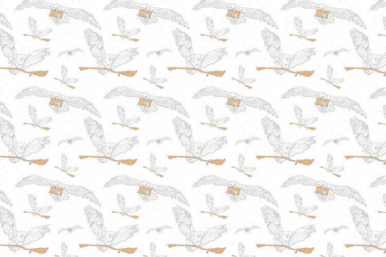 Harry Potter - Hedwig Poster, Plakat, 40 × 26.7 cm