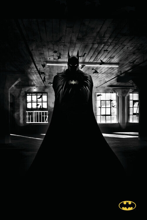 Batman - Beauty of Flight Poster, Plakat, 26.7 × 40 cm