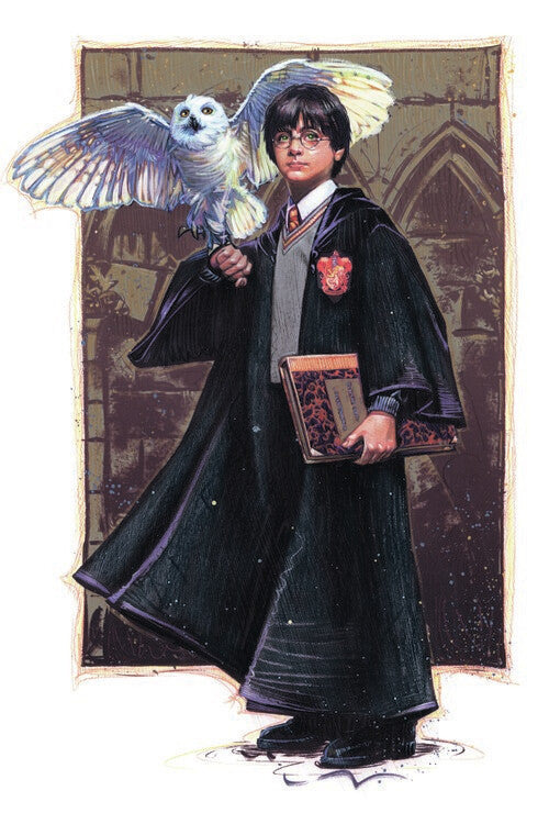 Harry Potter with Hedvig - Art Poster, Plakat, 26.7 × 40 cm