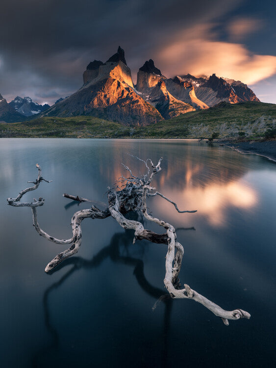 Leinwand Poster, Bilder Torres del Paine, Karol Nienartowicz, 60 × 80 cm