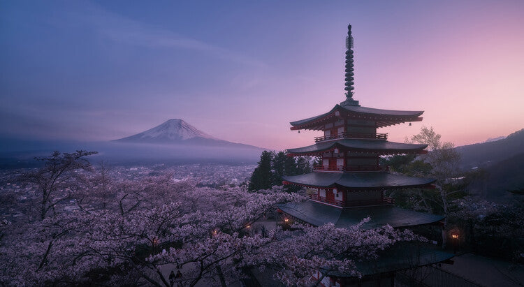 Leinwand Poster, Bilder Mt Fuji Sakura, Javier de la, 90 × 50 cm