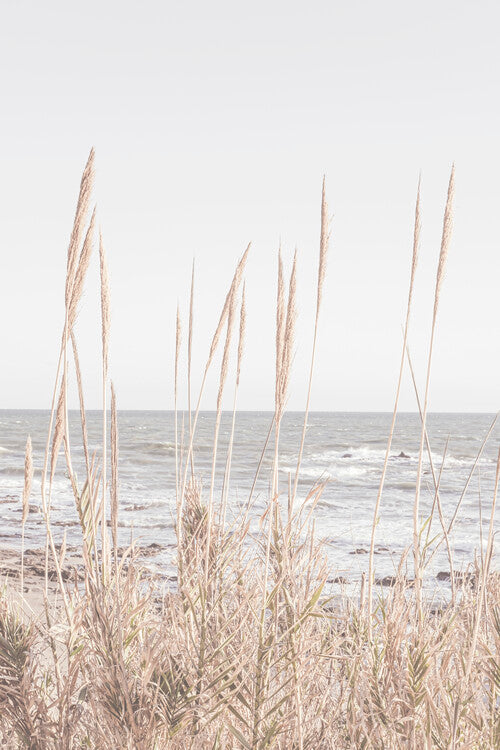 Leinwand Poster, Bilder Beach_Vass_001, Studio Collection, 60 × 90 cm