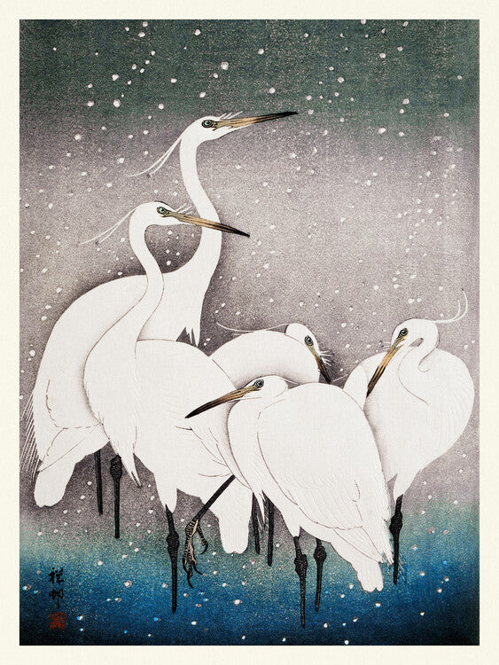 Group of Egrets, Ohara Koson Poster, Plakat, 30 × 40 cm