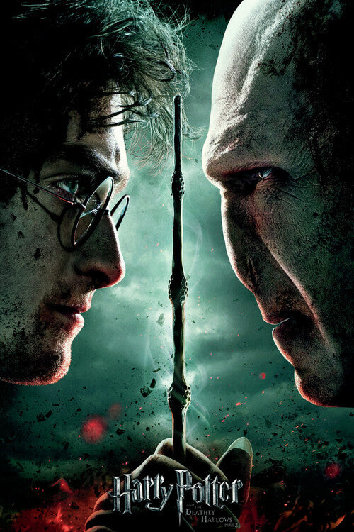 Harry Potter and the Deadly Hallows Poster, Plakat, 80 × 120 cm