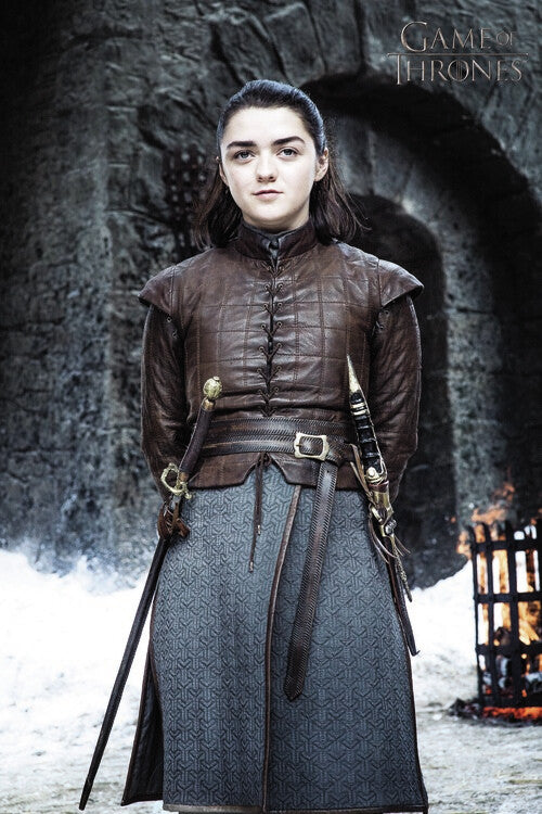 Leinwand Poster, Bilder Game of Thrones - Arya Stark, 60 × 90 cm