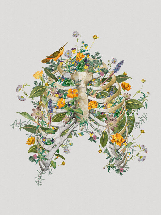 Leinwand Poster, Bilder Floral Thorax, 60 × 80 cm