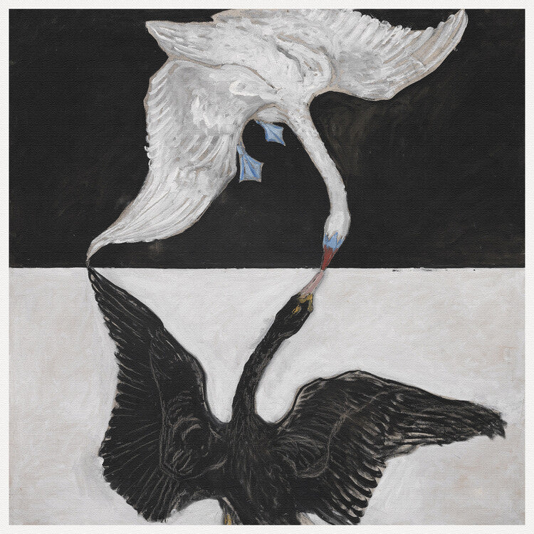 The Swan No.12, Hilma af Klint Poster, Plakat, 40 × 40 cm