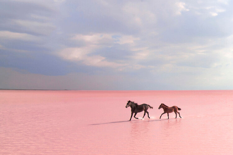 Leinwand Poster, Bilder pink salt lake, Suleyman Uzumcu, 90 × 60 cm