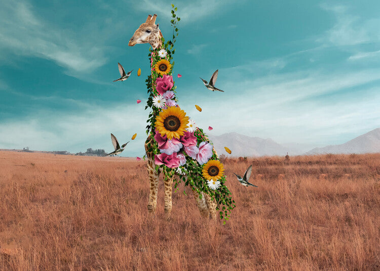Leinwand Poster, Bilder Giraffe, Salome Zhividze, 90 × 65 cm
