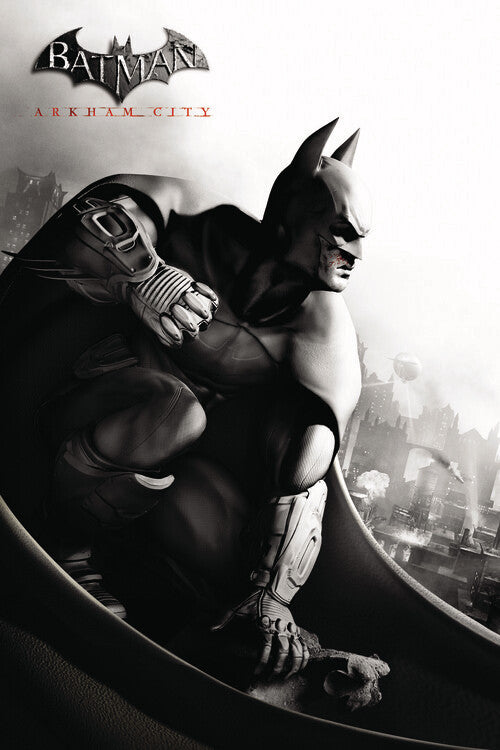 Batman Arkham City Poster, Plakat, 26.7 × 40 cm