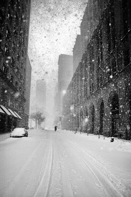 Leinwand Poster, Bilder New York Walker in Blizzard, Martin Froyda, 50 × 75 cm