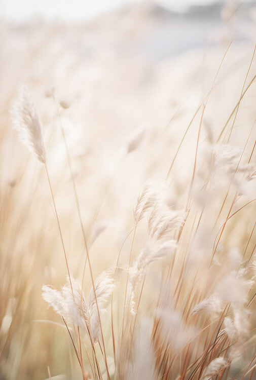 Leinwand Poster, Bilder Fairytal at Summer, 60 × 90 cm