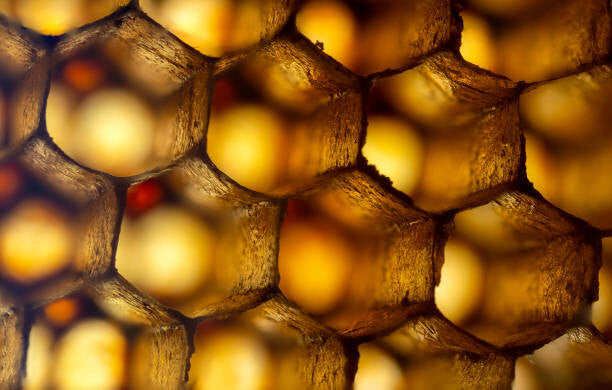 Leinwand Poster, Bilder Honeycomb ultra Macro Photo, gulfu photography, 100 × 65 cm