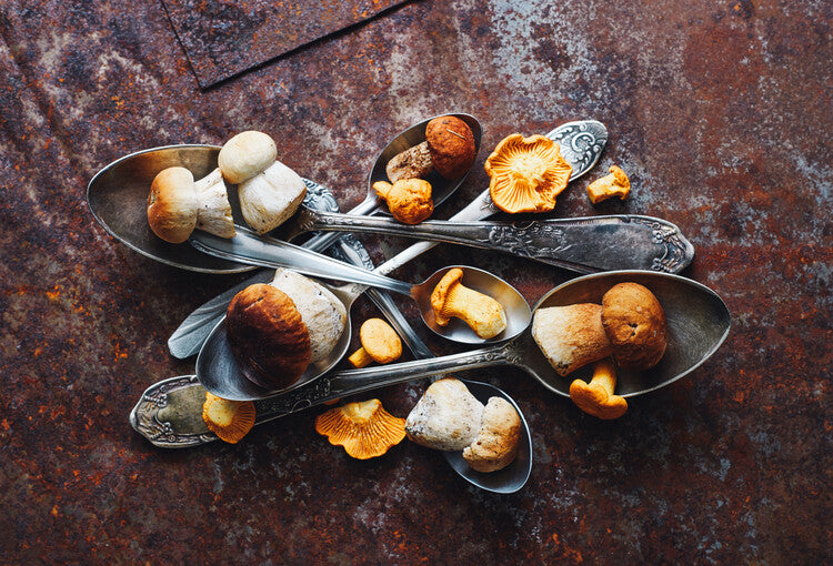 Leinwand Poster, Bilder SpoonsaWild mushrooms, Aleksandrova Karina, 90 × 60 cm