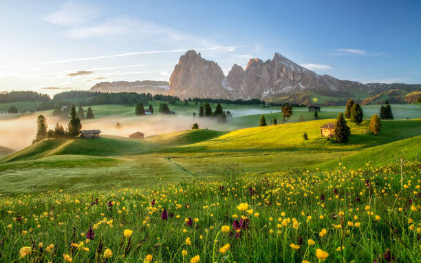 Leinwand Poster, Bilder Seiser Alm, Dolomite Alps, Italy, Europe, Achim Thomae, 90 × 55 cm