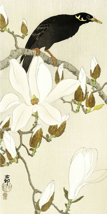 Kunstdruck Myna On Magnolia Branch, Ohara Koson, 20 × 40 cm