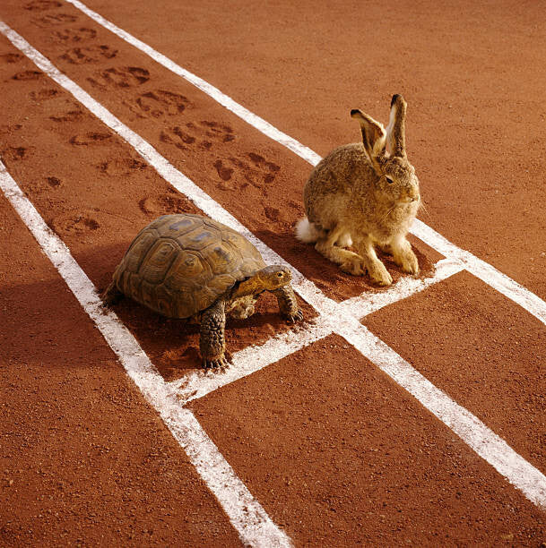 Leinwand Poster, Bilder TORTOISE AND HARE ON TRACK, GK Hart/Vikki Hart, 70 × 70 cm
