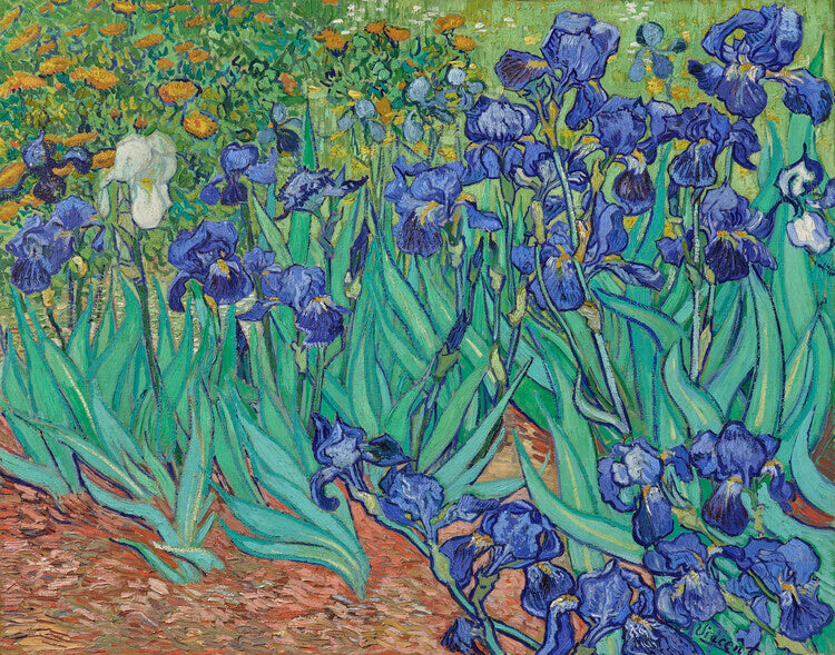Schwertlilien, Vincent van Gogh Poster, Plakat, 40 × 30 cm