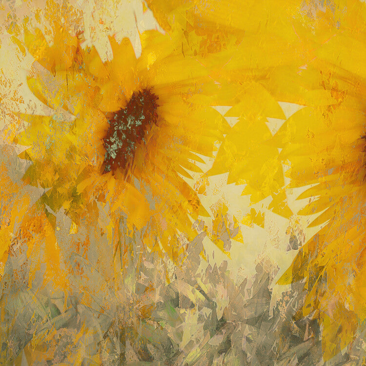 Leinwand Poster, Bilder Sunflower, Nel Talen, 70 × 70 cm