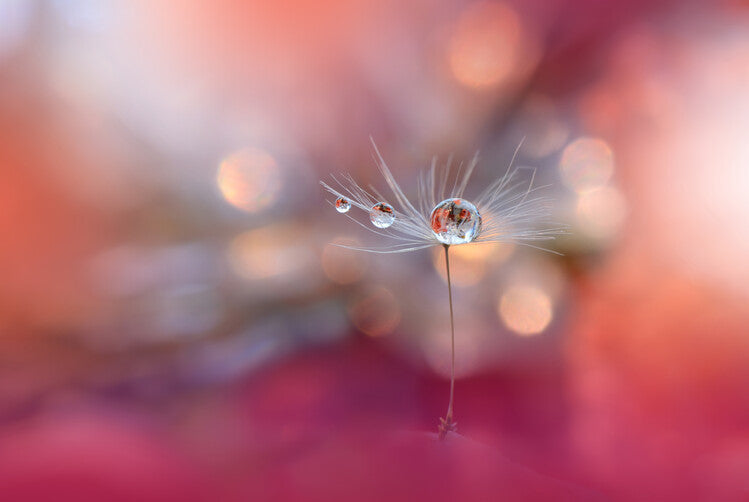 Leinwand Poster, Bilder Colors of Love…, Juliana Nan, 90 × 60 cm