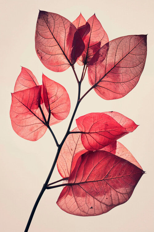 Leinwand Poster, Bilder Leaf photography, 60 × 90 cm