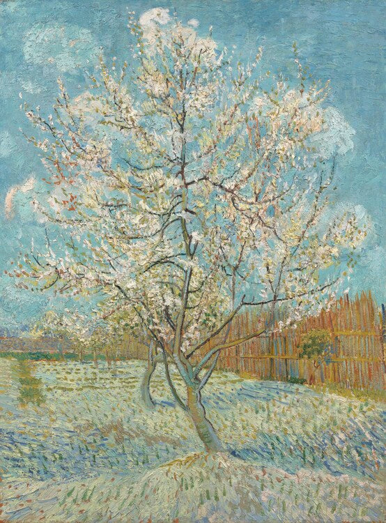 The Pink Peach Tree, 1888, Vincent van Gogh Poster, Plakat, 30 × 40 cm