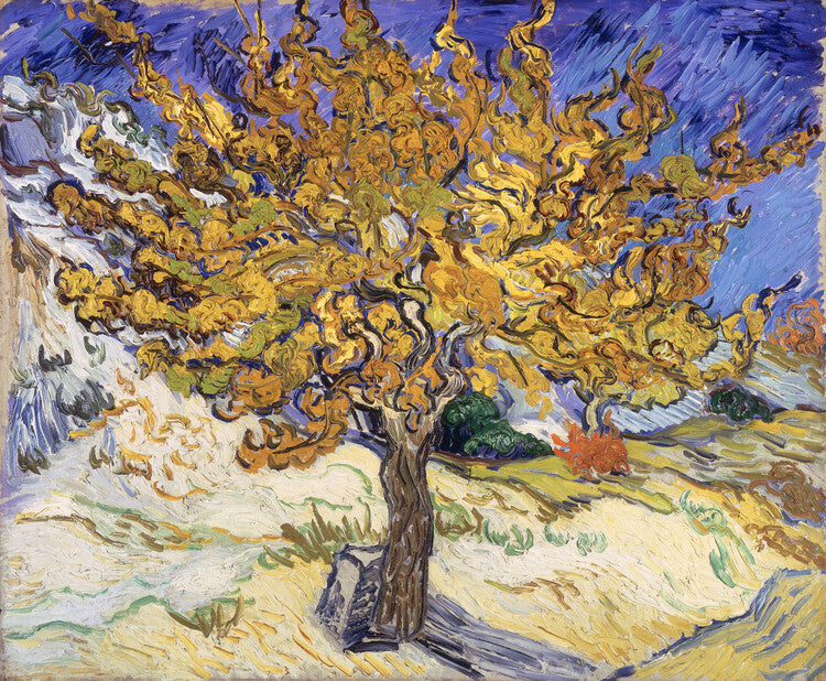 Mulberry Tree, 1889, Vincent van Gogh Poster, Plakat, 40 × 33 cm
