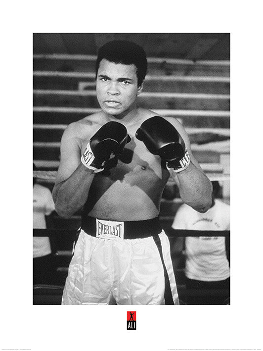 Kunstdruck Muhammad Ali - Pose, 60 × 80 cm