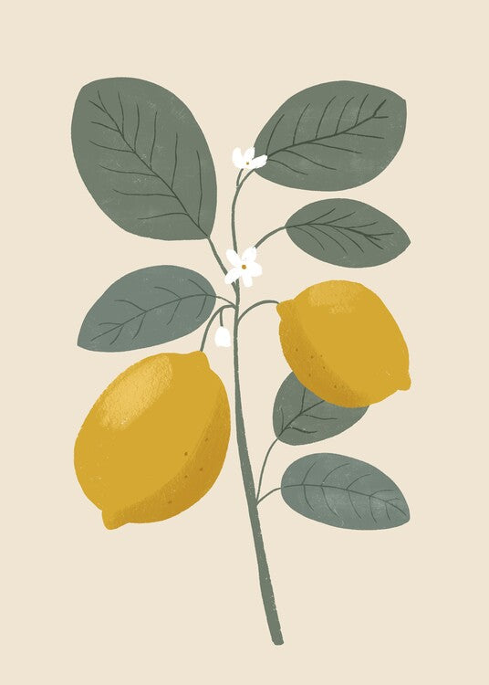 Leinwand Poster, Bilder Lemon flower, Katarzyna Gąsiorowska, 65 × 90 cm