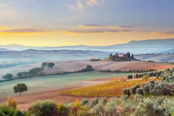 Leinwand Poster, Bilder Landscape in Tuscany, Italy, mammuth, 90 × 60 cm