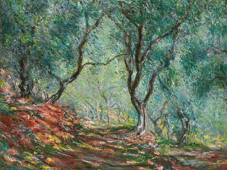 Olive Trees in the Moreno Garden (1884), Claude Monet Poster, Plakat, 40 × 30 cm