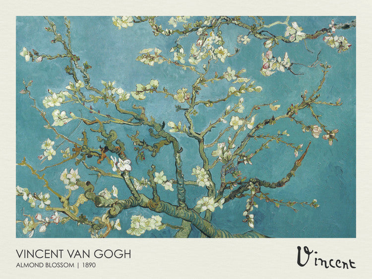 Mandelblüten, Vincent van Gogh Poster, Plakat, 40 × 30 cm