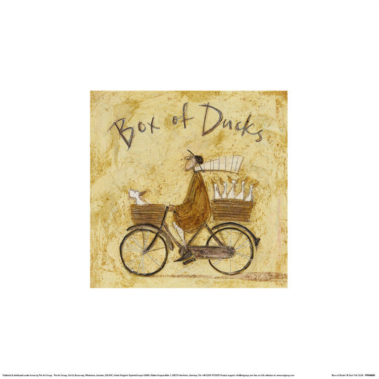 Kunstdruck Sam Toft - Box of Ducks, 30 × 30 cm