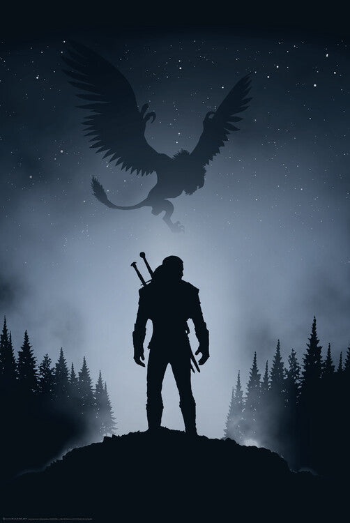 The Witcher Poster, Plakat, 61 × 91.5 cm