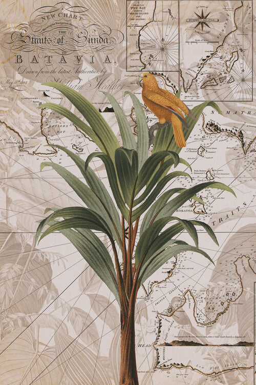 Leinwand Poster, Bilder Indonesia Jungle Paradise No2, Andrea Haase, 60 × 90 cm