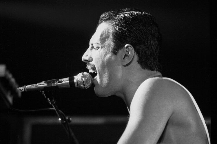 Leinwand Poster, Bilder Freddie Mercury sur scène, Patrick AVENTURIER, 90 × 60 cm