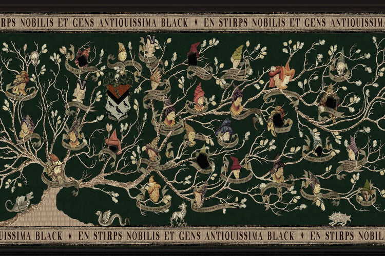Harry Potter – Stammbaum der Familie Black Poster, Plakat, 40 × 26.7 cm