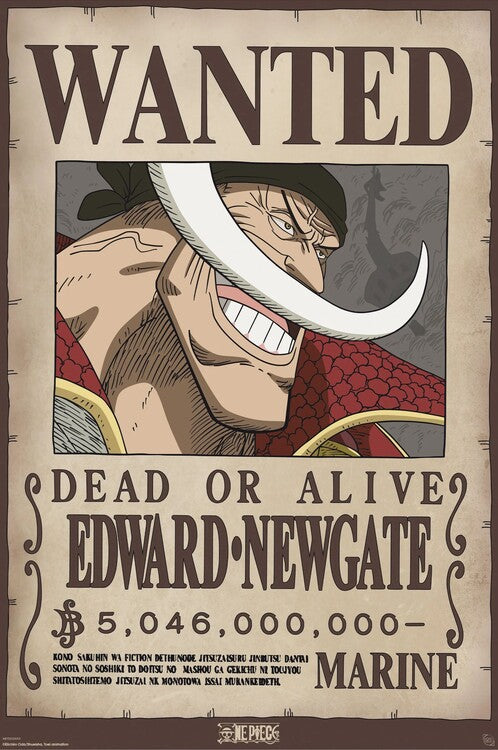 One Piece - Wanted Whitebeard Poster, Plakat, 61 × 91.5 cm