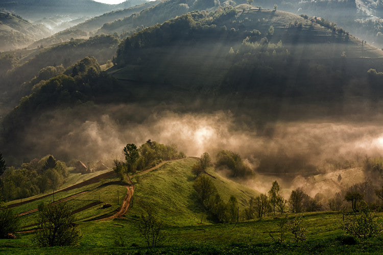 Leinwand Poster, Bilder Morning fog, Mihail Dulu, 90 × 60 cm