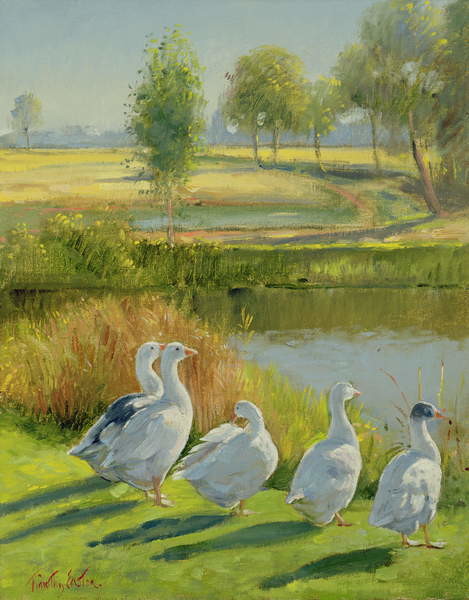 Leinwand Poster, Bilder Gooseguard, Timothy Easton, 70 × 90 cm