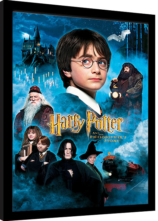Harry Potter - Philosophers Stone Gerahmte Poster, Bilder, 30 × 40 cm
