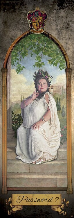 Harry Potter - Fette Dame Poster, Plakat, 53 × 158 cm