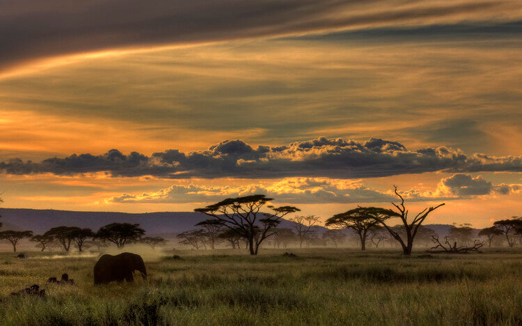 Leinwand Poster, Bilder Africa, Amnon Eichelberg, 90 × 55 cm