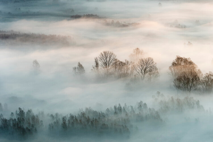Leinwand Poster, Bilder Winter fog, Marco Galimberti, 90 × 60 cm