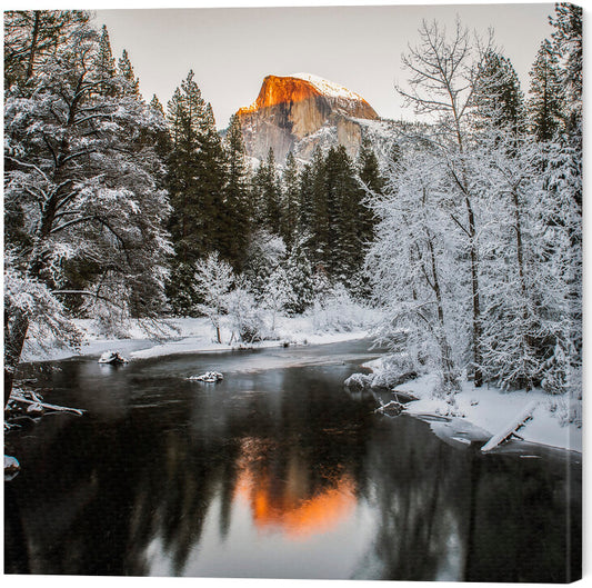 Leinwand Poster, Bilder The Last Sunshine, David H Yang, 60 × 60 cm