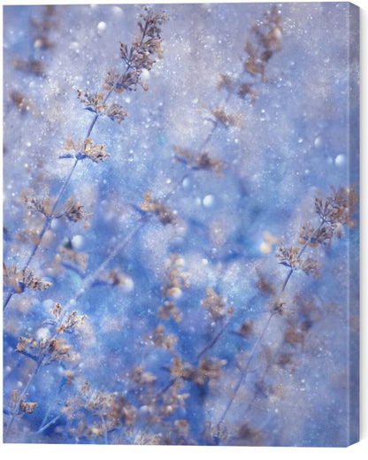Leinwand Poster, Bilder Early Winter, Delphine Devos, 50 × 60 cm